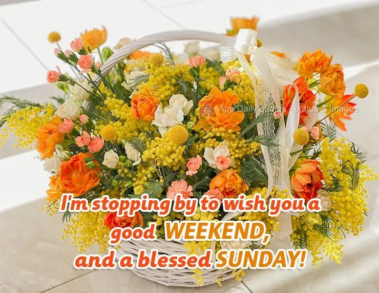 I'm stopping by to wish you a good weekend, and a blessed Sunday!
