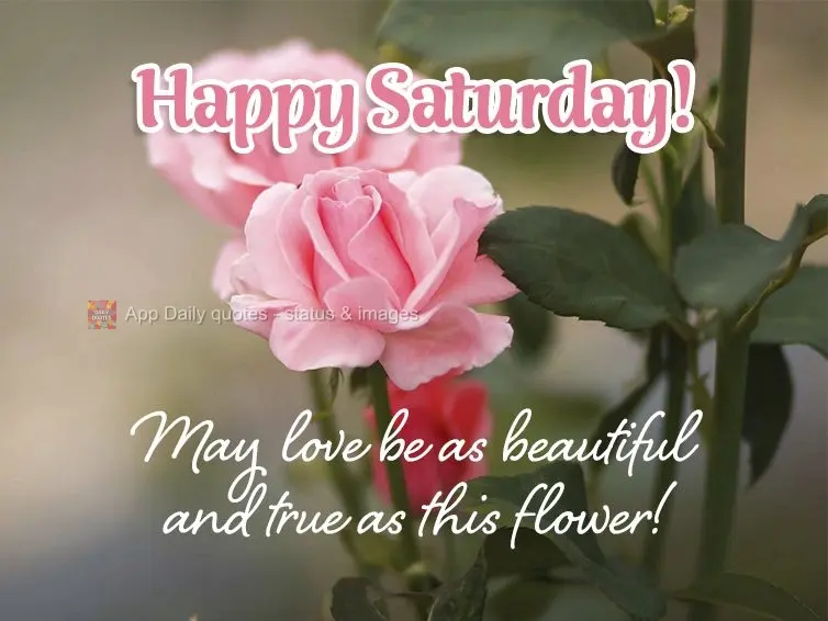 May love be as beautiful and true as this flower! Happy Saturday! 
