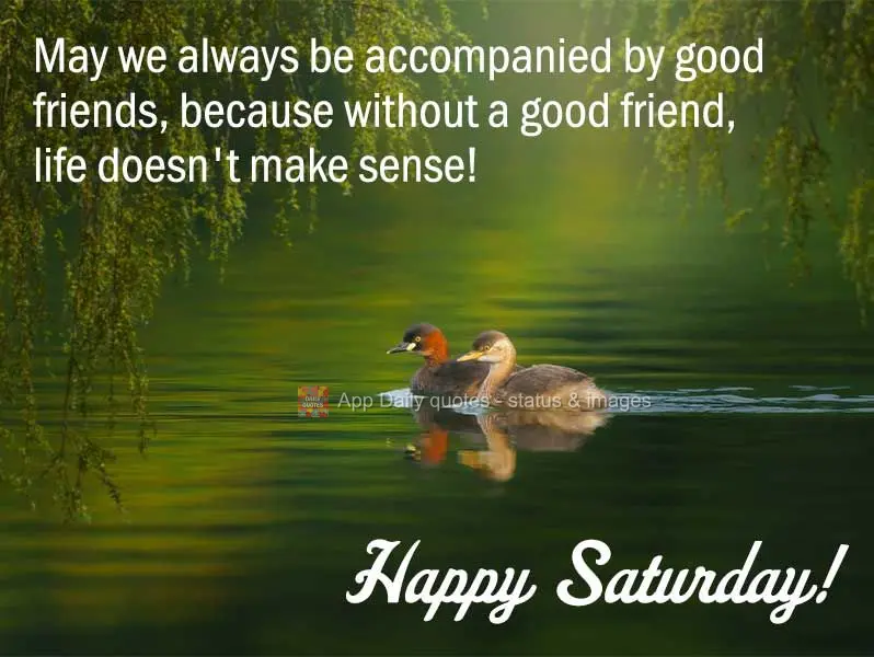 May we always be surrounded by good friends, because without a good friend, life doesn't make sense! Happy Saturday!