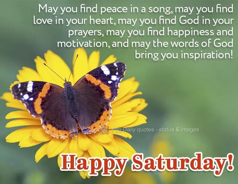 May you find peace in a song, may you find love in your heart, may you find God in your prayers, may you find happiness and motivation, and may the words...