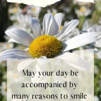 May your day be accompanied by many reasons to smile and inspire the people that are rooting for you! Happy Saturday!