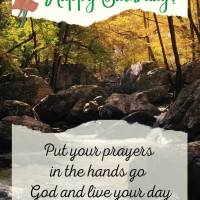Put your prayers in the hands of God and live your day intensely without being afraid of being happy! Happy Saturday!