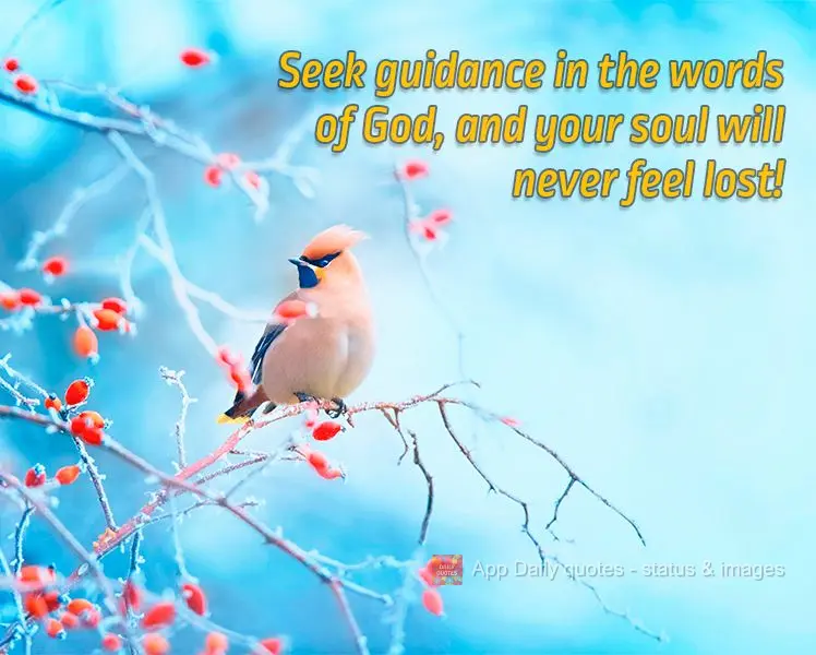 Seek guidance in the words of God, and your soul will never feel lost!