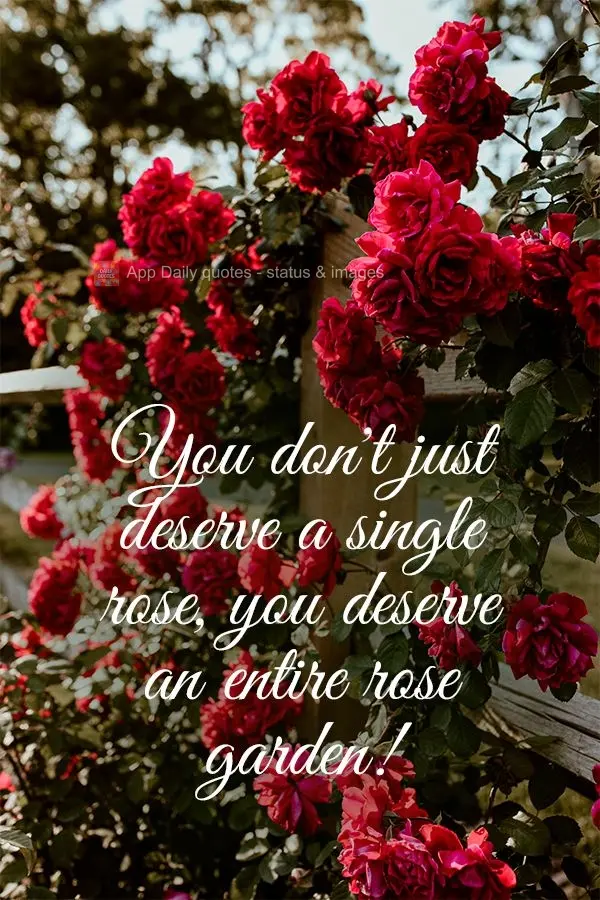 You don't just deserve a single rose, you deserve an entire rose garden!