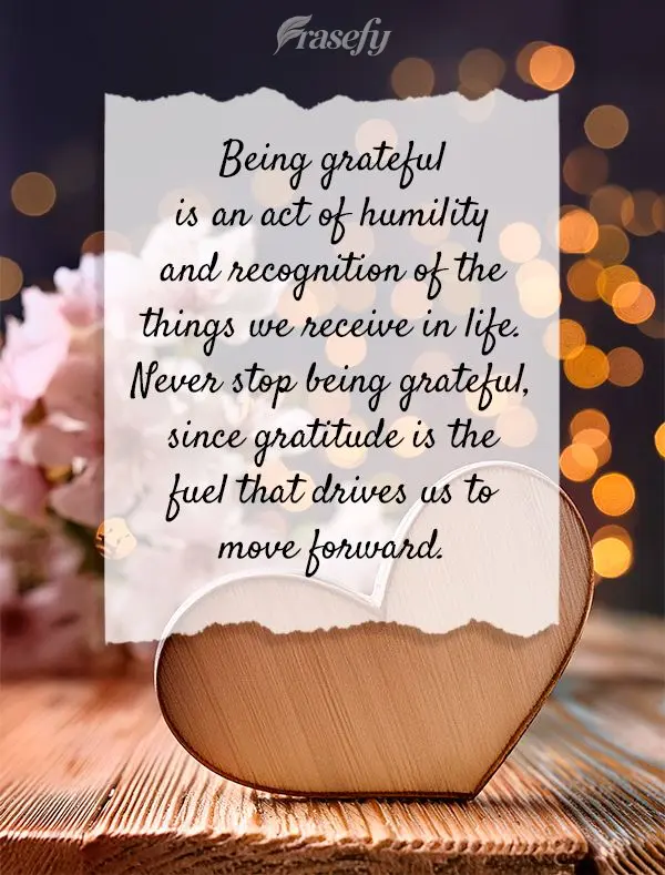 Ser grato é um ato de humildade e reconhecimento pelas coisas que recebemos na vida. Nunca deixe de agradecer, pois a gratidão é o combustível que no...
