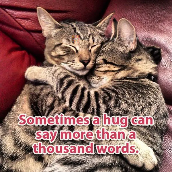 Sometimes a hug can say more than a thousand words.