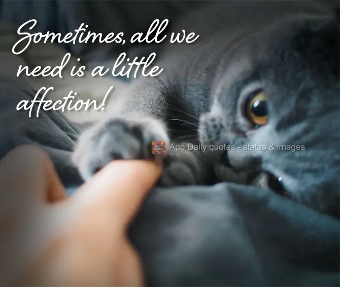 Sometimes, all we need is a little affection!
