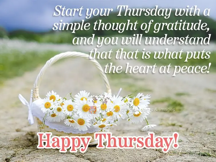 Start your Thursday with a simple thought of gratitude, and you will understand that that is what puts the heart at ease! Happy Thursday!