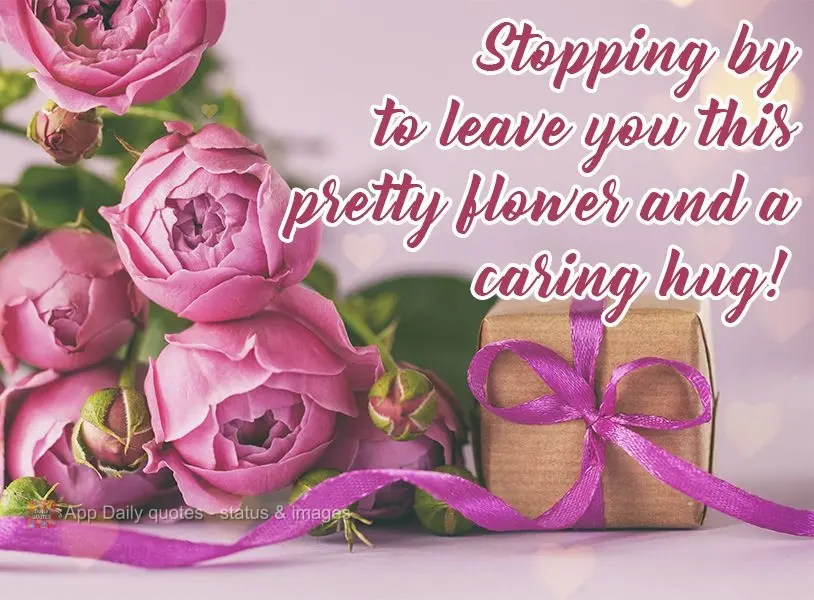 Stopping by to leave you this pretty flower and a caring hug! 