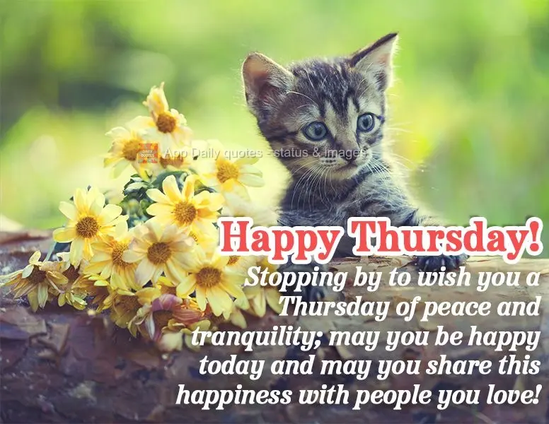 Stopping by to wish you a Thursday full of peace and tranquility; may you be happy today and may you share this happiness with people you love! Happy Thu...