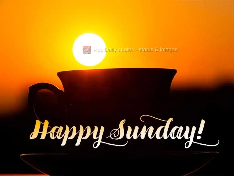 Happy Sunday!