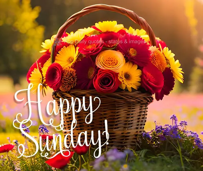 Happy Sunday!
