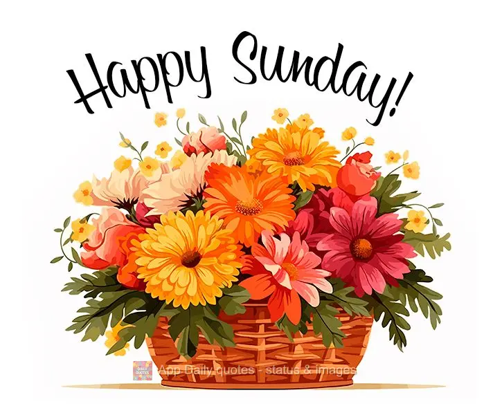 Happy Sunday!