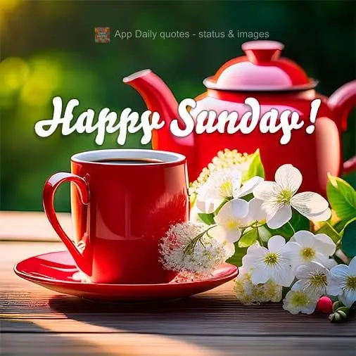 Happy Sunday!