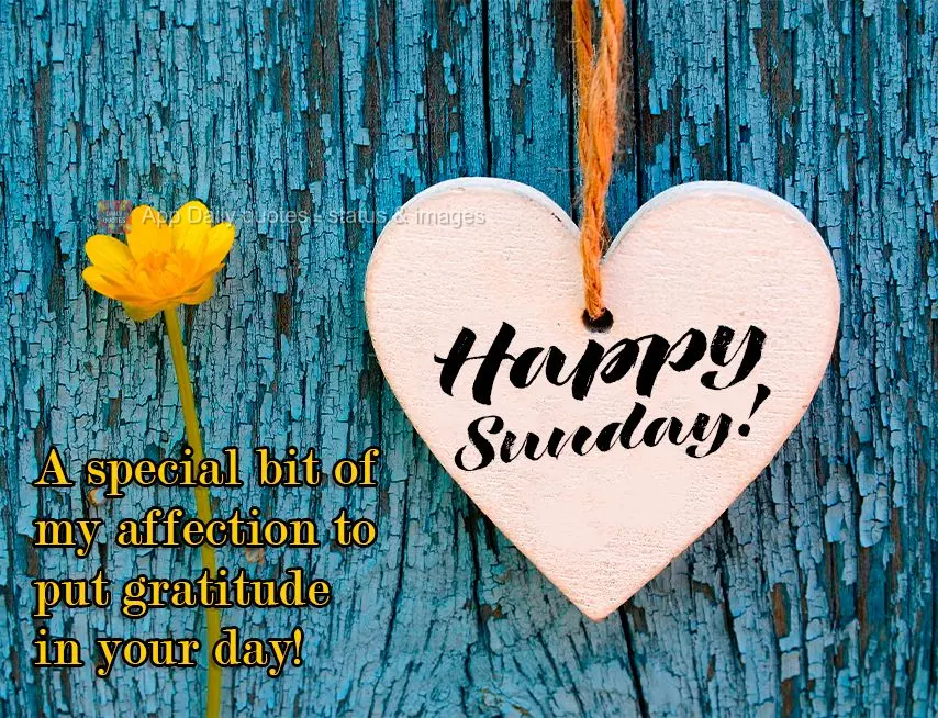 A special bit of my affection to bring a little gratitude to your day! Happy Sunday!