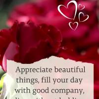 Appreciate beautiful things, fill your day with good company, live without holding grudges, and feel happier! Happy Sunday!