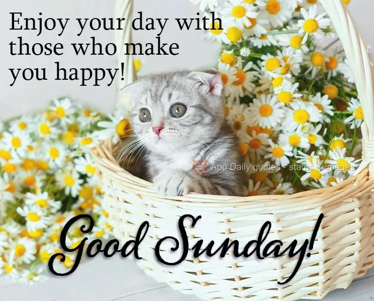 Enjoy your day with people who make you happy! Have a good Sunday!