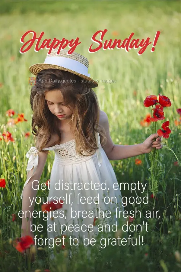 Get distracted, empty yourself, get nourishment from good energy, breathe fresh air, be at peace, and don't forget to be grateful! Happy Sunday!
