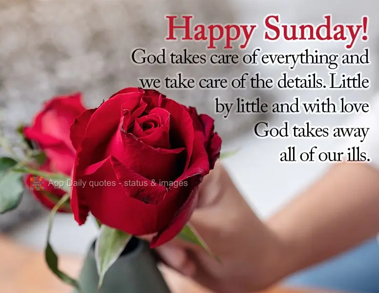 God takes care of the big things and we take care of the details. Little by little and with love, God takes away all our ills. Happy Sunday!
