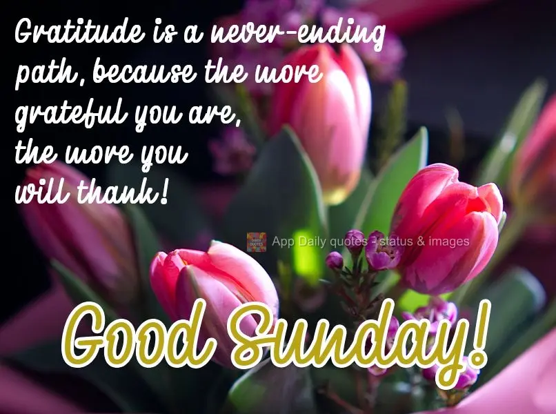 Gratitude is a never-ending path, because the more grateful you are, the more you will have to give thanks for! Have a good Sunday!