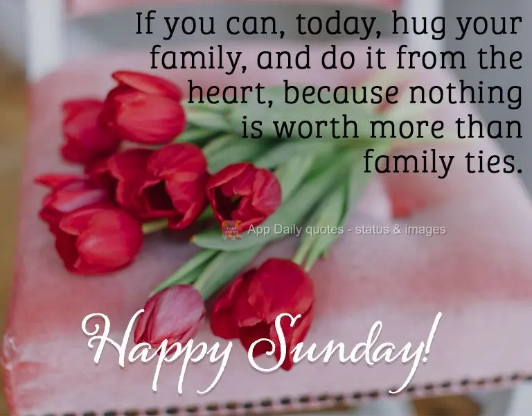 If you can, today, hug your family, and do it from the heart, because nothing is worth more than family ties. Happy Sunday!