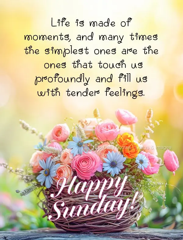 Life is made of moments, and many times the simplest ones are the ones that touch us profoundly and fill us with tender feelings. Happy Sunday!