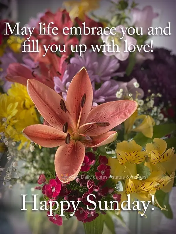 May life embrace you and fill you with love! Happy Sunday!