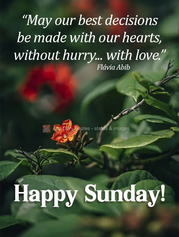 "May our best decisions be made with our hearts, without rushing... with love." Happy Sunday!  Flávia Abib