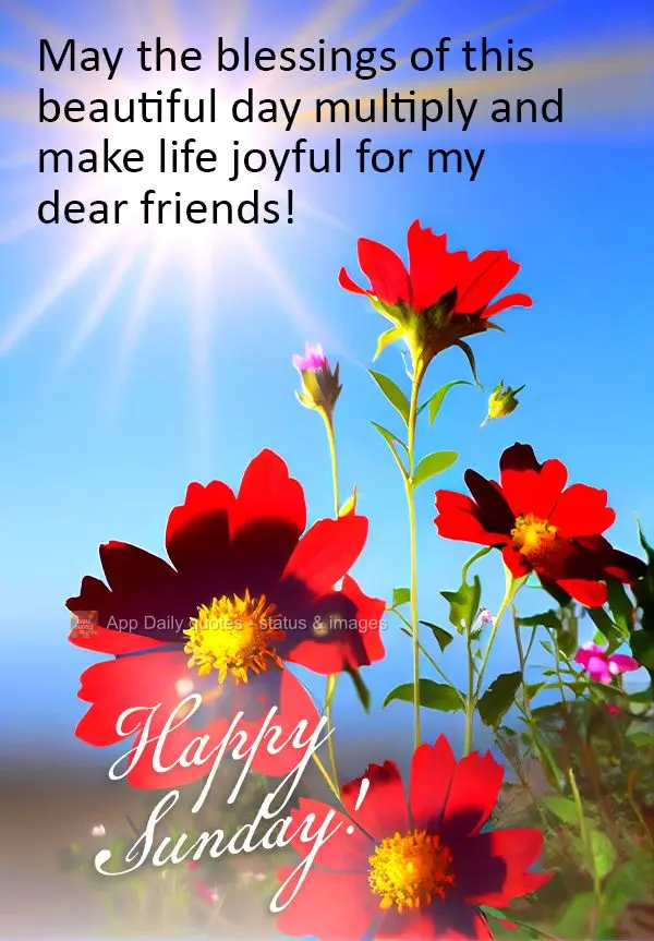 May the blessings of this beautiful day multiply and make life joyful for my dear friends! Happy Sunday!