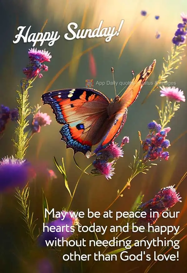 May we be at peace in our hearts and be happy without needing anything other than God's love today! Happy Sunday!