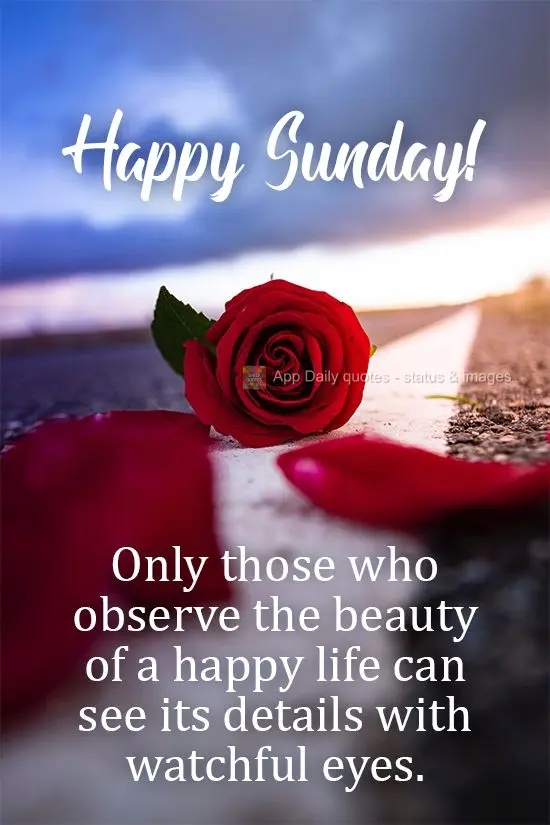 Only those who observe the beauty of a happy life can see its details with watchful eyes. Happy Sunday!