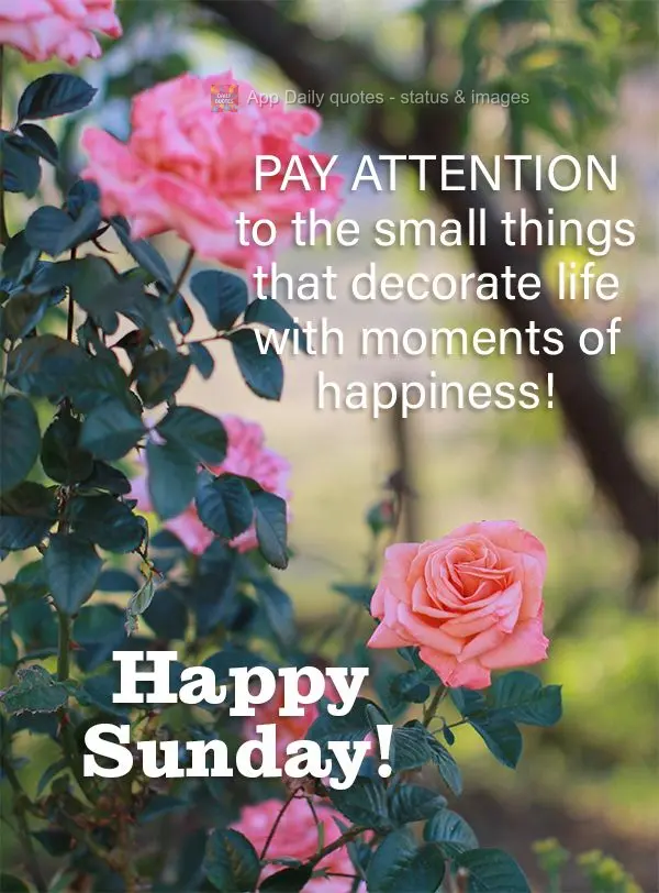 Pay attention to the small things that fill life with moments of happiness! Happy Sunday!