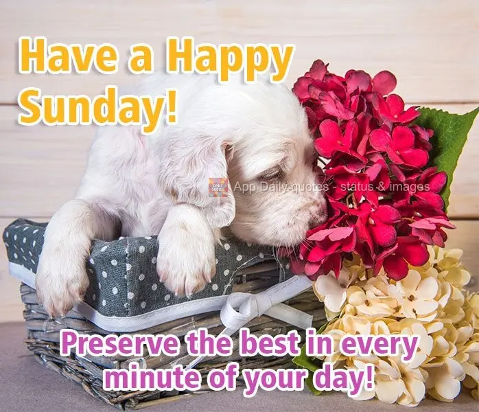 Preserve the best in every minute of your day! Have a Happy Sunday!