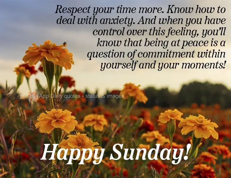 Respect your time more. Know how to deal with anxiety. And when you have control over this feeling, you'll know that being at peace is a question of comm...