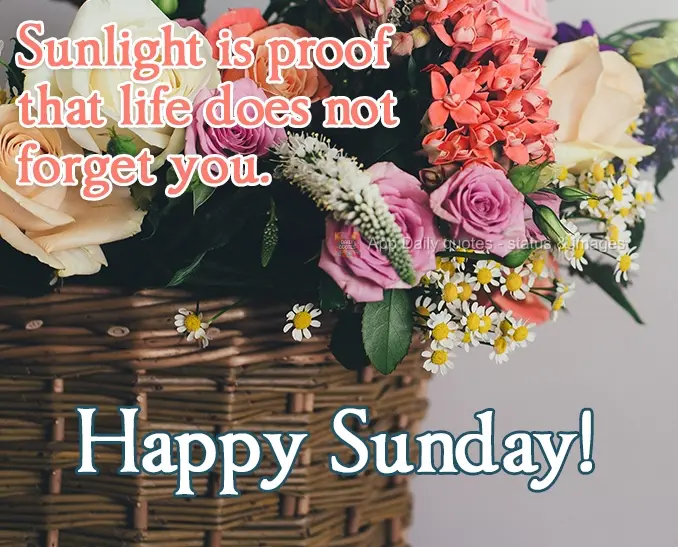 Sunlight is proof that life does not forget about you. Have a good Sunday!