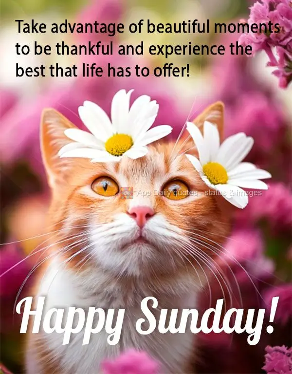 Take advantage of beautiful moments to be thankful and experience the best that life has to offer! Happy Sunday!
