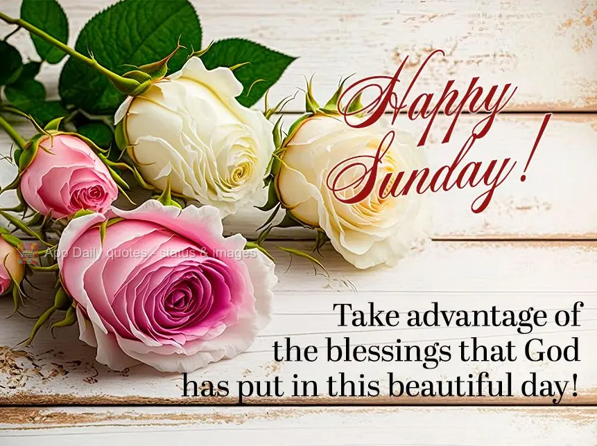 Take advantage of the blessings that God has put in this beautiful day! Happy Sunday!