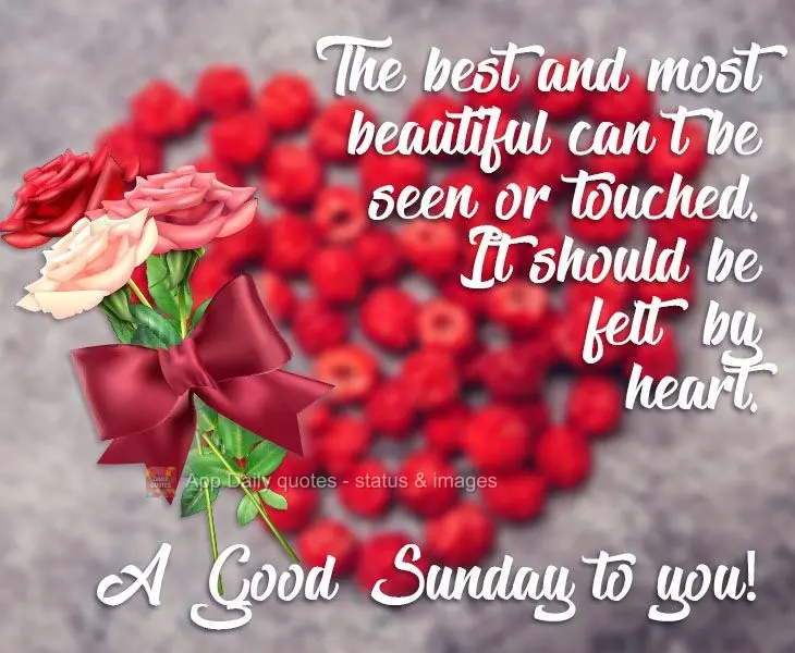 The best and most beautiful things can't be seen or touched. They should be felt by the heart. A Good Sunday to you!