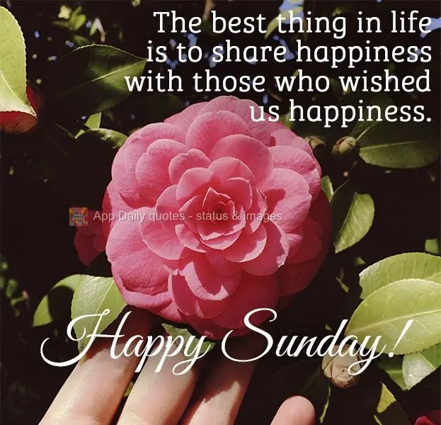 The best thing in life is to share happiness with those who wished us happiness. Happy Sunday!