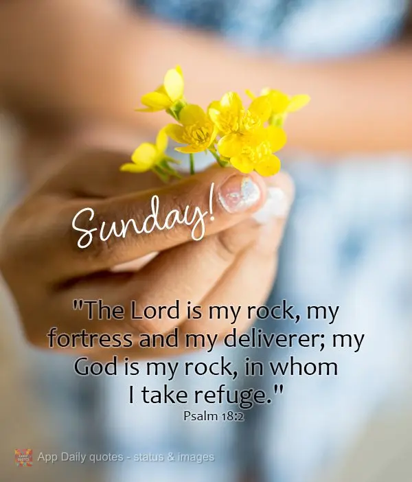 "The Lord is my rock, my fortress and my deliverer; my God is my rock, in whom I take refuge." Sunday! Psalm 18:2