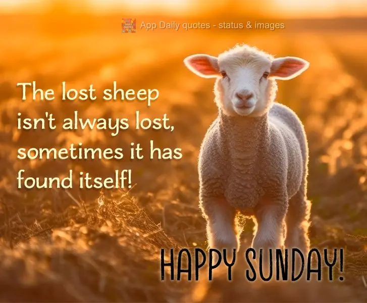 The lost sheep isn't always lost, sometimes it has found itself! Happy Sunday!