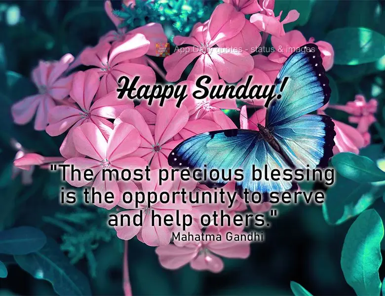 "The most precious blessing is the opportunity to serve and help others." Happy Sunday! Mahatma Gandhi