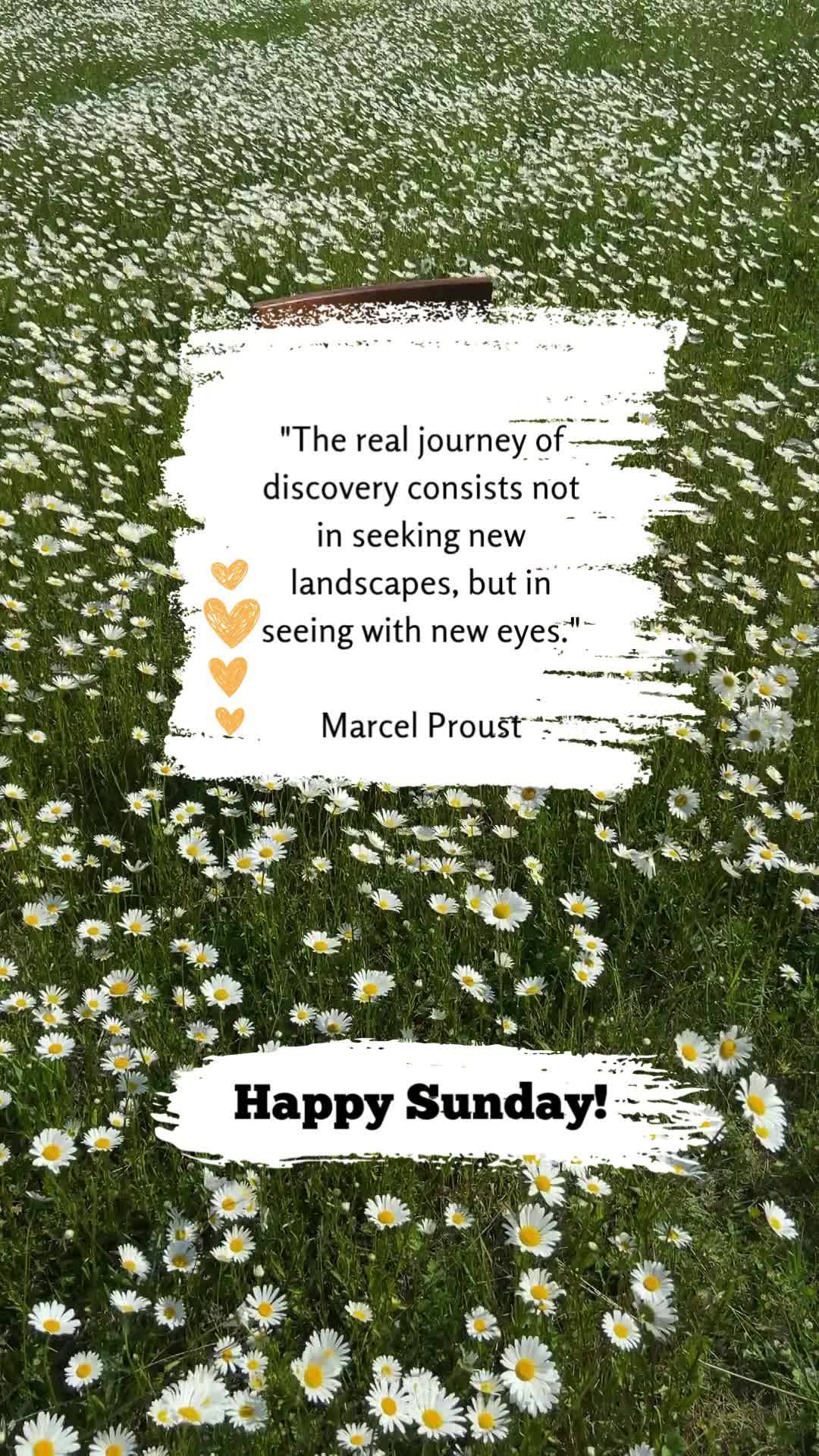 "The real journey of discovery consists not in seeking new landscapes, but in seeing with new eyes." Happy Sunday! Marcel Proust