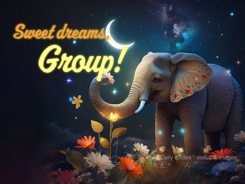 Sweet dreams, Group!