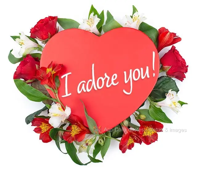 Te adoro!