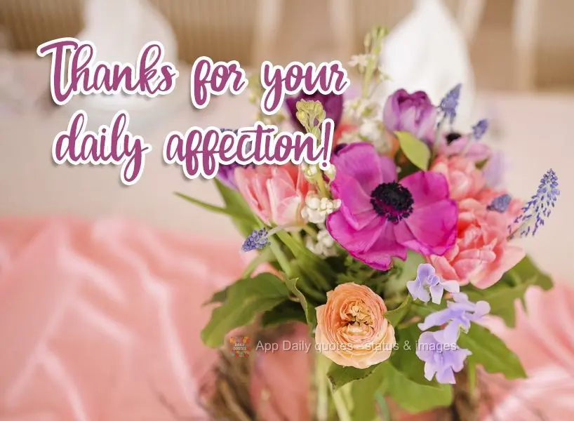 Thank you for your daily affection!  