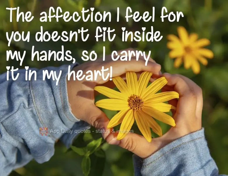 The affection I feel for you doesn't fit inside my hands, so I carry it in my heart! 