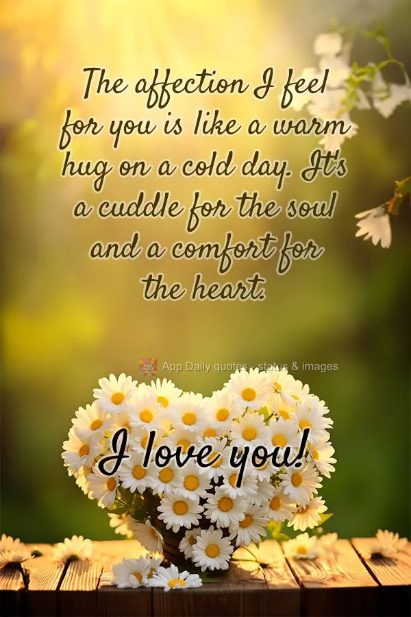 The affection I feel for you is like a warm hug on a cold day. It's a cuddle for the soul and a comfort for the heart. I love you!