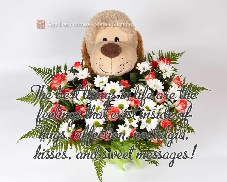 The best things in life are the feelings that exist within hugs, affection, nostalgia, kisses, and sweet messages!