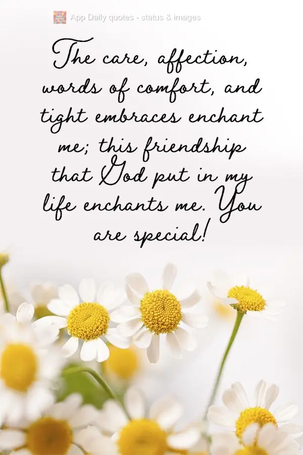 The care, affection, words of comfort, and tight embraces enchant me; this friendship that God put in my life enchants me. You are special!